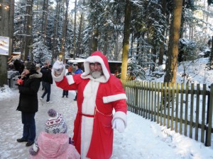 Herzlich Willkommen auf dem Möllensdorfer Wald-Weihnachtsmarkt