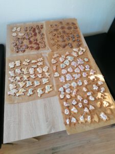 Plätzchen